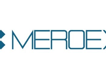 Logo Meroex